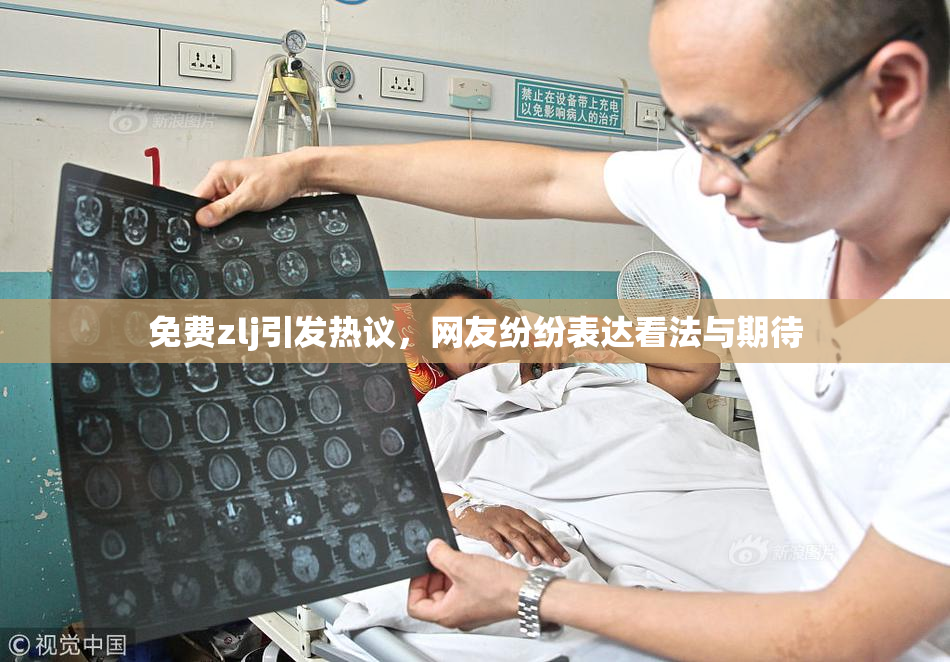 免费zlj引发热议，网友纷纷表达看法与期待