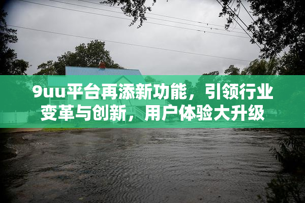 9uu平台再添新功能，引领行业变革与创新，用户体验大升级