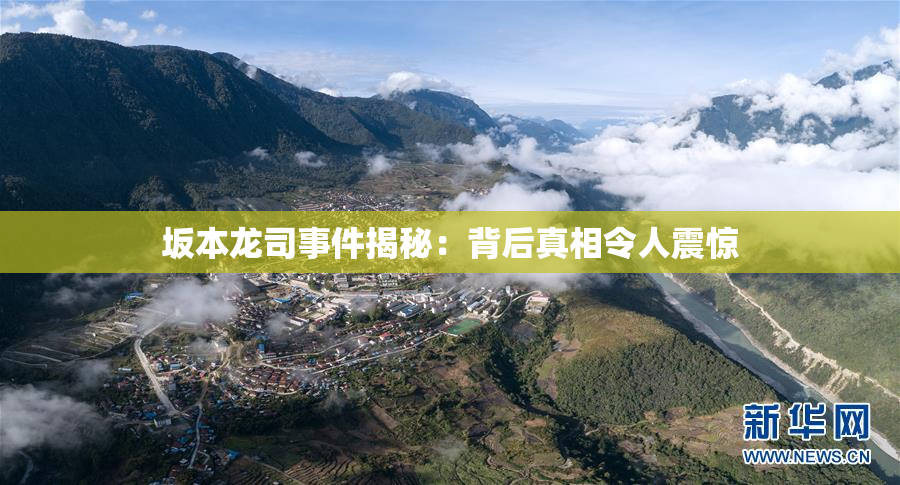 坂本龙司事件揭秘：背后真相令人震惊