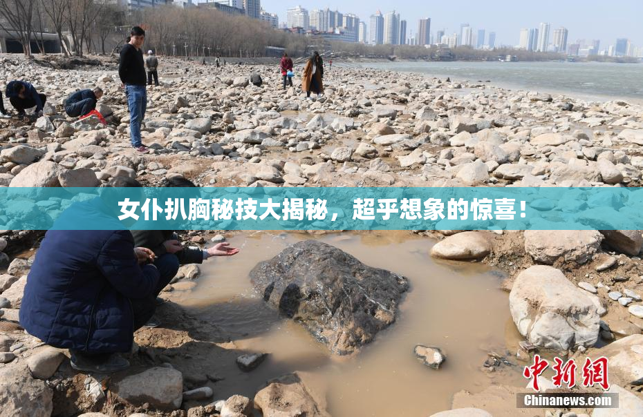 女仆扒胸秘技大揭秘，超乎想象的惊喜！