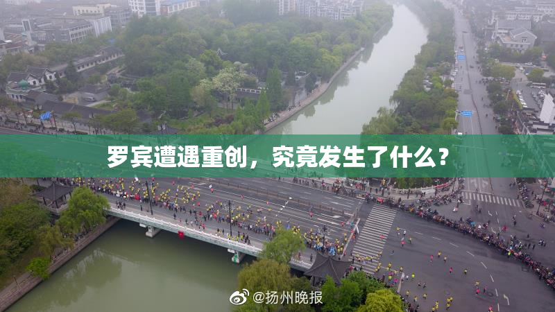 罗宾遭遇重创，究竟发生了什么？