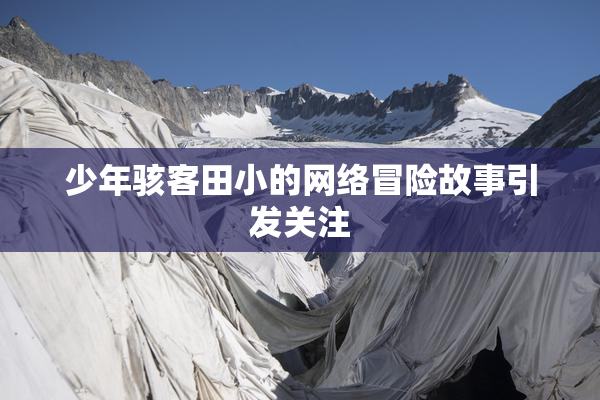 少年骇客田小的网络冒险故事引发关注