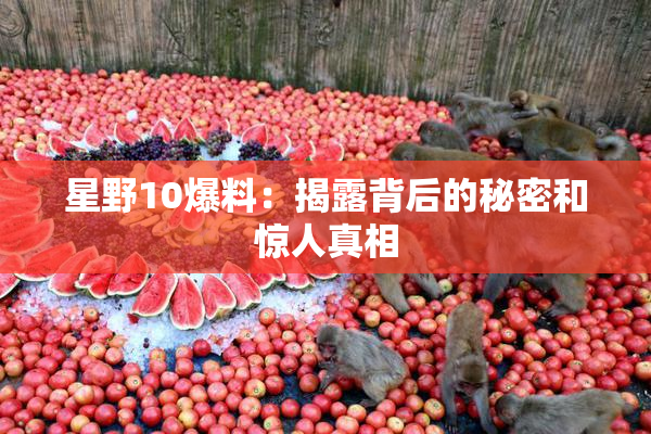 星野10爆料：揭露背后的秘密和惊人真相
