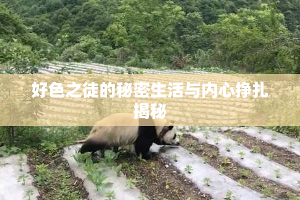 好色之徒的秘密生活与内心挣扎揭秘