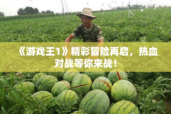 《游戏王1》精彩冒险再启，热血对战等你来战！