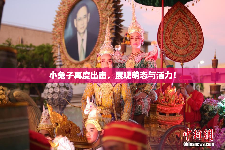 小兔子再度出击，展现萌态与活力！