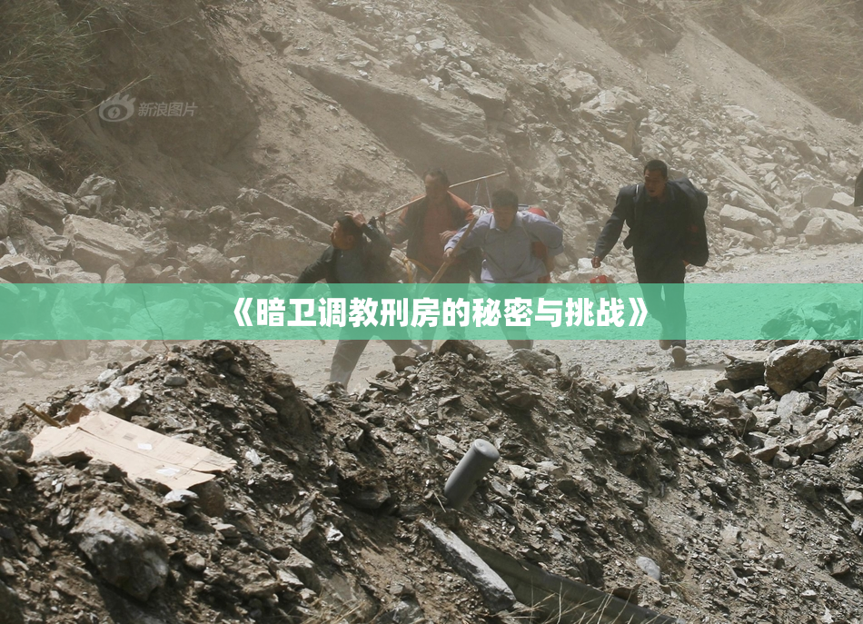 《暗卫调教刑房的秘密与挑战》