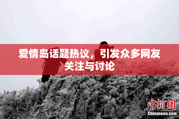 爱情岛话题热议，引发众多网友关注与讨论