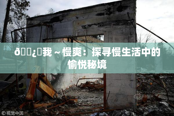 🌿‌我～慢爽：探寻慢生活中的愉悦秘境