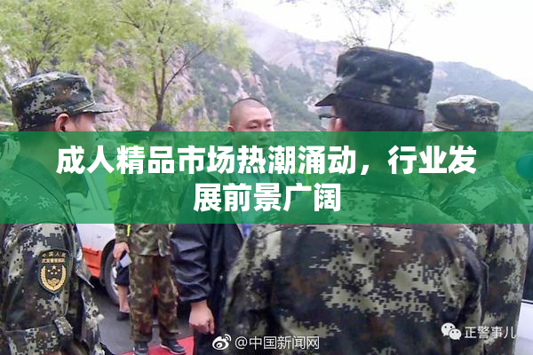 成人精品市场热潮涌动，行业发展前景广阔