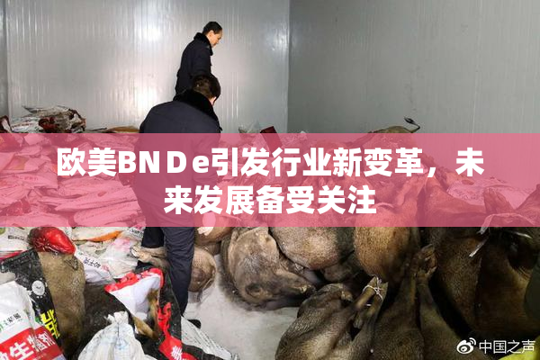 欧美BNＤe引发行业新变革，未来发展备受关注