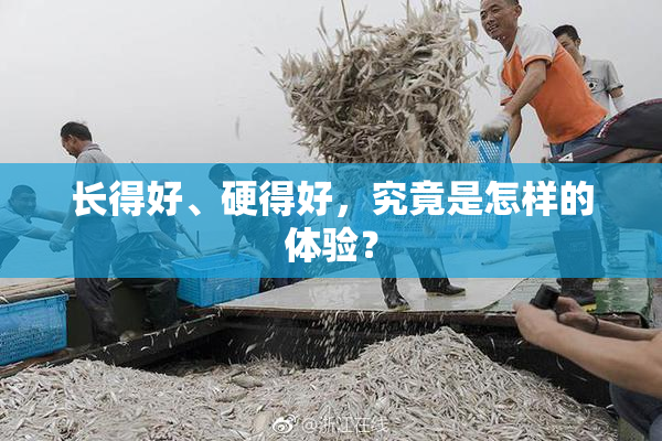 长得好、硬得好，究竟是怎样的体验？