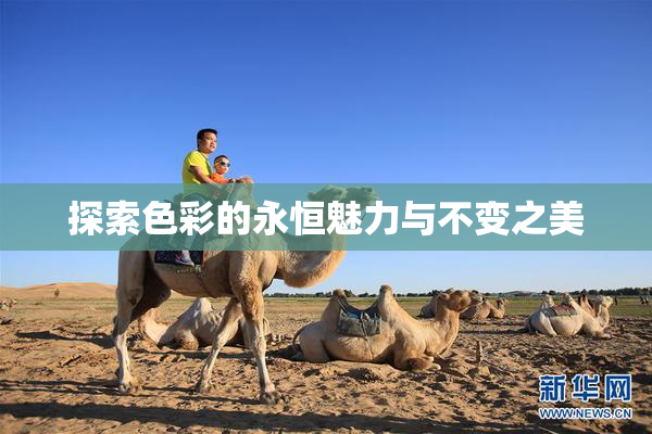 探索色彩的永恒魅力与不变之美