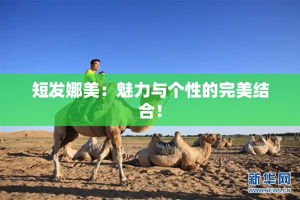 短发娜美：魅力与个性的完美结合！