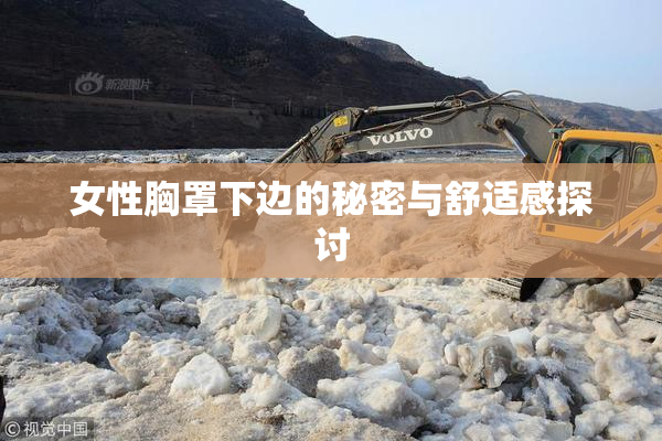 女性胸罩下边的秘密与舒适感探讨