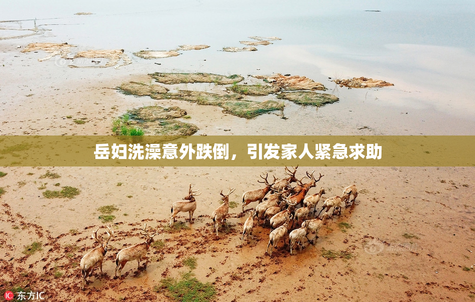 岳妇洗澡意外跌倒，引发家人紧急求助