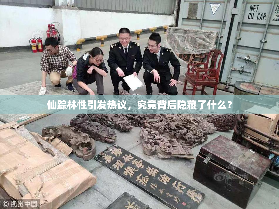 仙踪林性引发热议，究竟背后隐藏了什么？