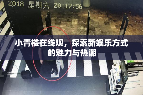 小青楼在线观，探索新娱乐方式的魅力与热潮