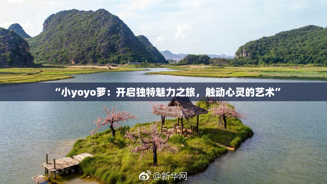 “小yoyo萝：开启独特魅力之旅，触动心灵的艺术”