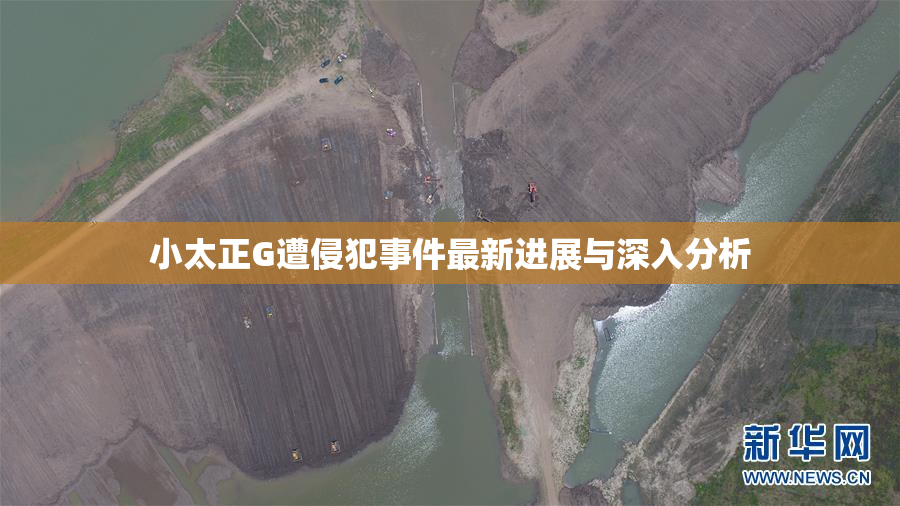 小太正G遭侵犯事件最新进展与深入分析