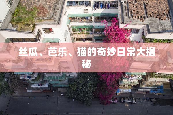 丝瓜、芭乐、猫的奇妙日常大揭秘
