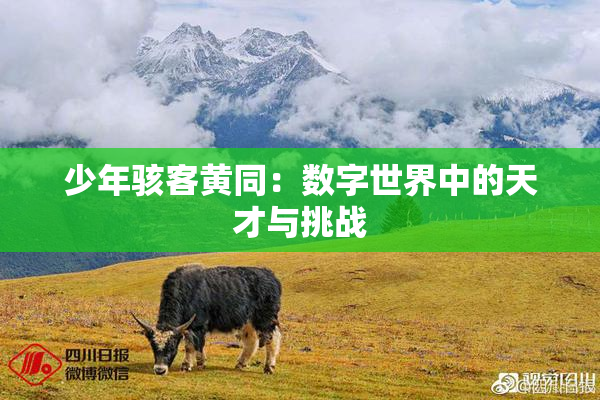 少年骇客黄同：数字世界中的天才与挑战