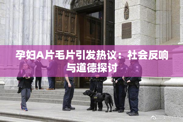 孕妇A片毛片引发热议：社会反响与道德探讨
