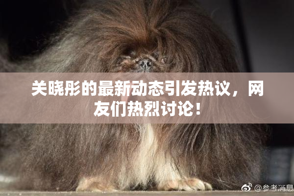 关晓彤的最新动态引发热议，网友们热烈讨论！