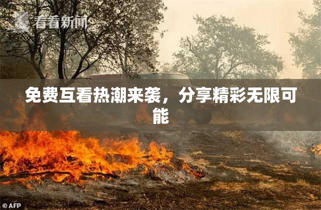 免费互看热潮来袭，分享精彩无限可能
