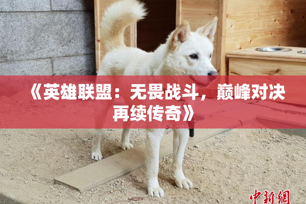 《英雄联盟：无畏战斗，巅峰对决再续传奇》