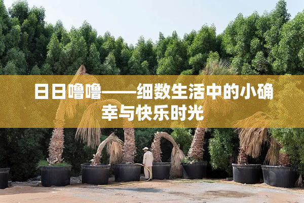 日日噜噜——细数生活中的小确幸与快乐时光