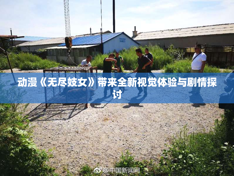 动漫《无尽妓女》带来全新视觉体验与剧情探讨