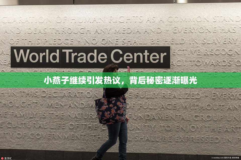 小燕子继续引发热议，背后秘密逐渐曝光