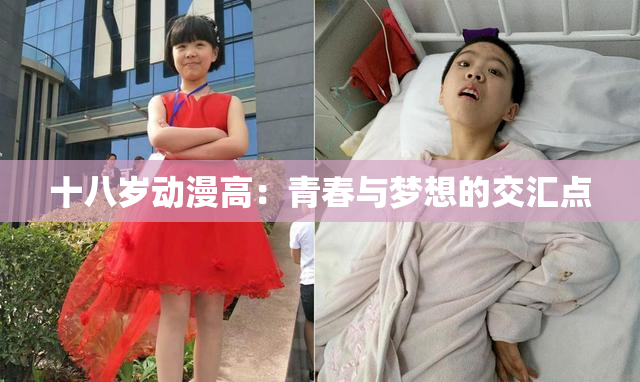 十八岁动漫高：青春与梦想的交汇点