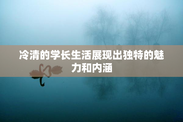 冷清的学长生活展现出独特的魅力和内涵