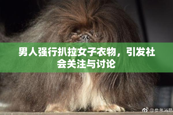 男人强行扒拉女子衣物，引发社会关注与讨论