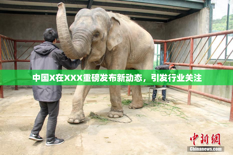 中国X在XXX重磅发布新动态，引发行业关注