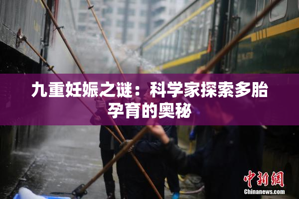 九重妊娠之谜：科学家探索多胎孕育的奥秘