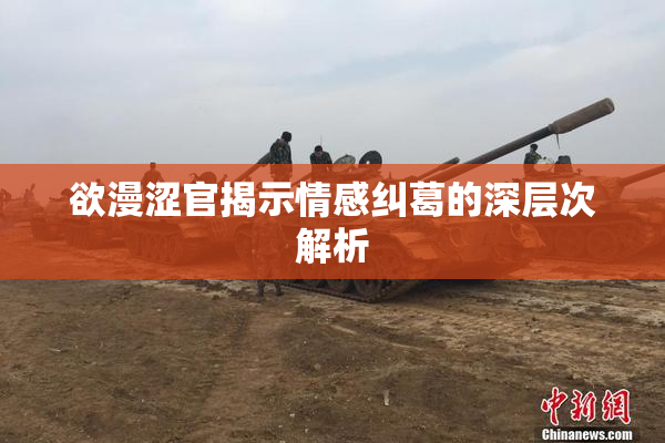 欲漫涩官揭示情感纠葛的深层次解析