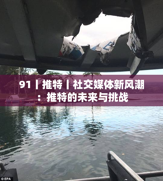 91丨推特丨社交媒体新风潮：推特的未来与挑战