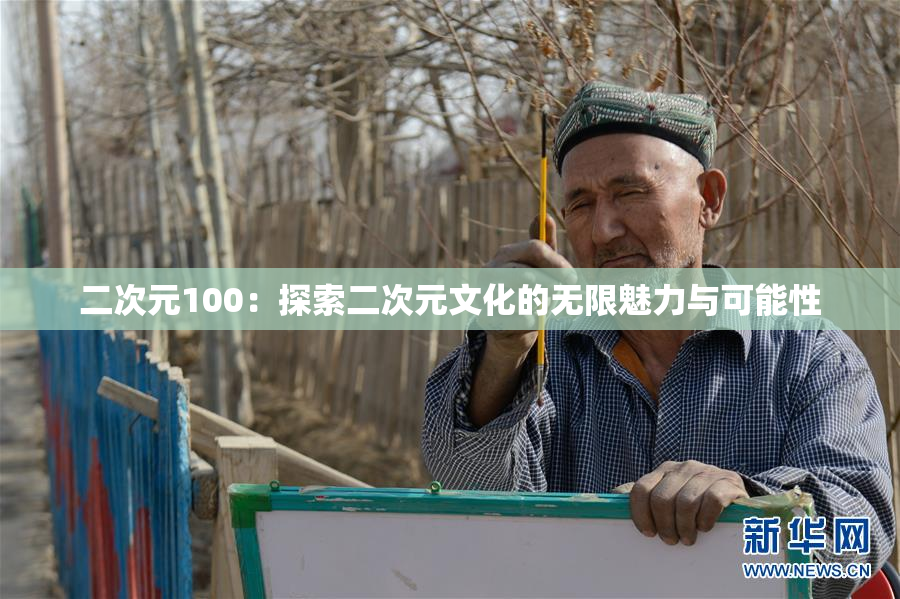 二次元100：探索二次元文化的无限魅力与可能性