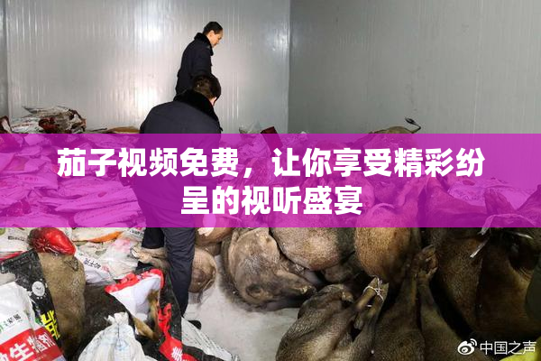 茄子视频免费，让你享受精彩纷呈的视听盛宴