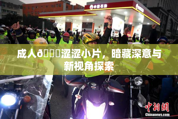 成人🔞涩涩小片，暗藏深意与新视角探索