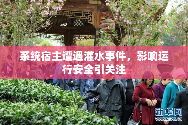 系统宿主遭遇灌水事件，影响运行安全引关注