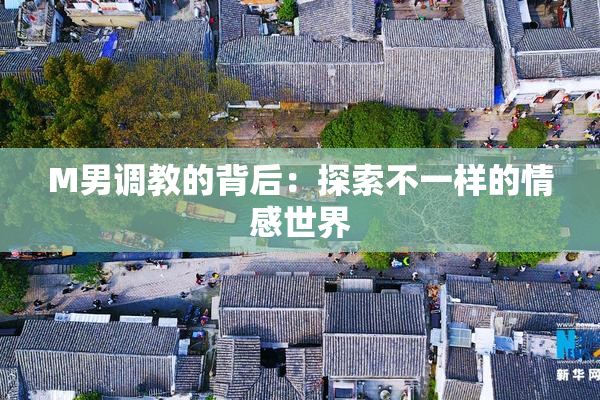 M男调教的背后：探索不一样的情感世界