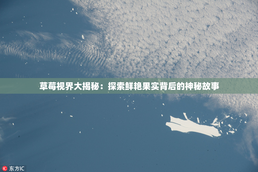 草莓视界大揭秘：探索鲜艳果实背后的神秘故事