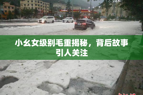 小幺女级别毛重揭秘，背后故事引人关注