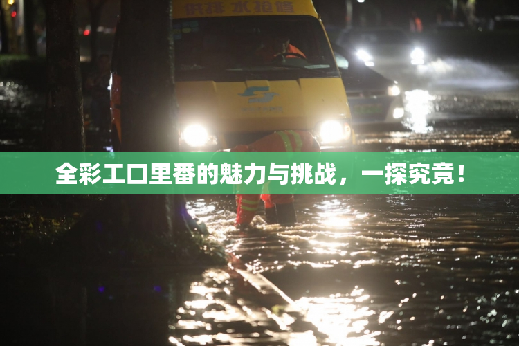 全彩工口里番的魅力与挑战，一探究竟！