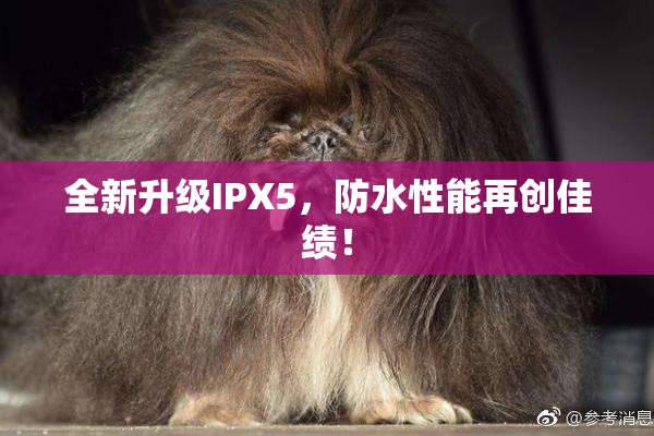 全新升级IPX5，防水性能再创佳绩！
