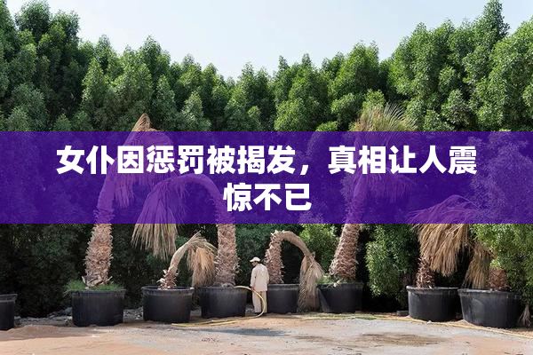 女仆因惩罚被揭发，真相让人震惊不已